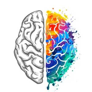 مرجان پلوئی